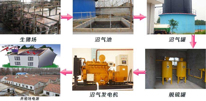 養豬場該選擇多大功率的沼氣發電機組